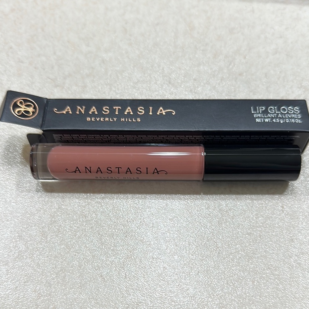 Anastasia Beverly Hills Pink Lip Gloss Makeup
